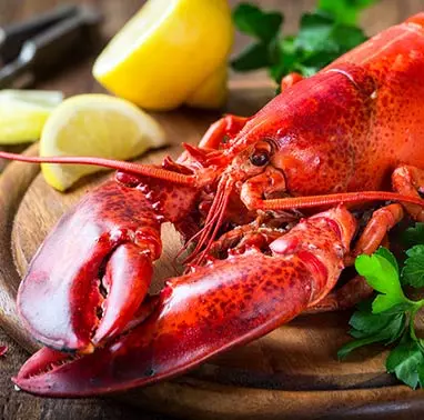 Vente de poisson à Saint-Pryvé-Saint-Mesmin dans le Loiret (45)