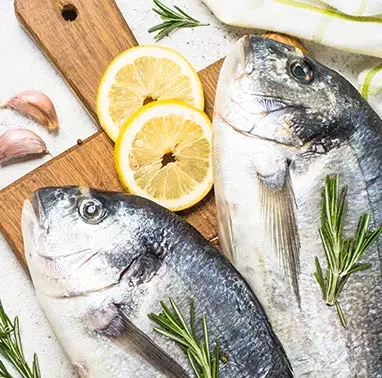 Vente de poissons et de fruits de mer frais dans le Loiret (45) 